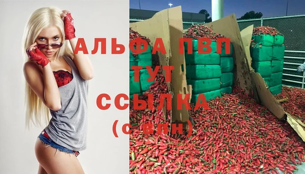 сатива Абинск
