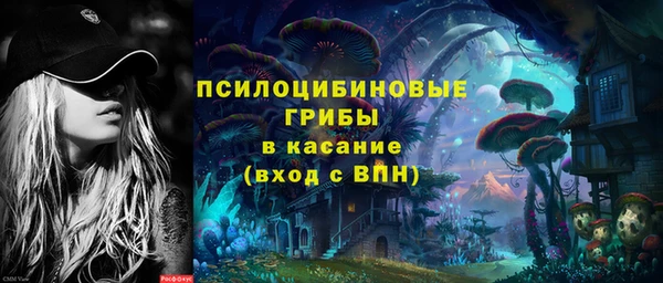 соль ск Алзамай
