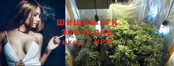 сатива Абинск