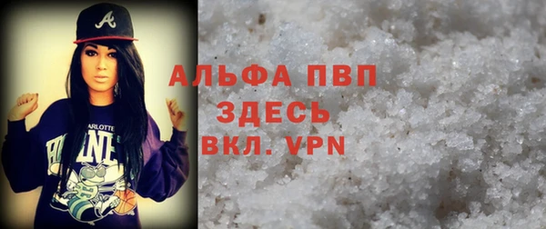 сатива Абинск